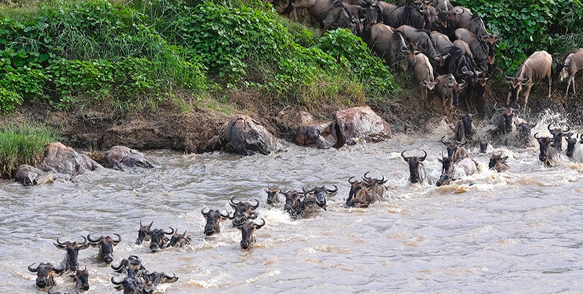 Mara River Post Tanzania - arenatours.com