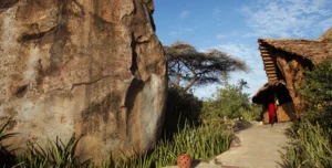 Olduvi Camp - arenatours.com