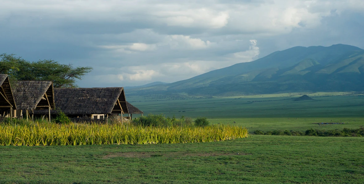 Olduvi Camp - arenatours.com