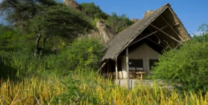 Olduvi Camp - arenatours.com