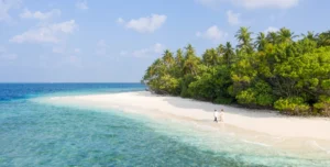 Westin Maldives - arenatours.com