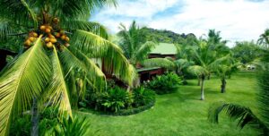 Paradise Sun Hotel Seychelles - arenatours.com - Paradise Sun Hotel