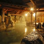 Takayama Green Hotel - arenatours.com