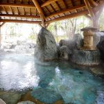 Takayama Green Hotel - arenatours.com