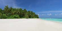 playa y vegetación tropical en Aaa Veee Nature´s Paradise