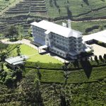 Heritance Tea Factory - arenatours.com