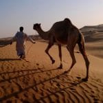 Arabian Nights Village - arenatours.com