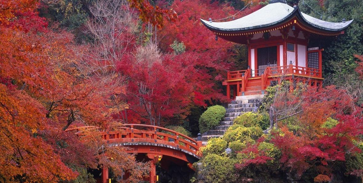 Templo con puente inmerso en la naturaleza de Nara en Japón